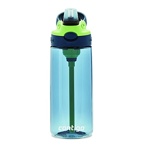 Contigo Kids Water Bottle with Redesigned AUTOSPOUT Straw, 20 oz., Blueberry & Green Apple