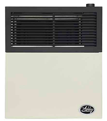 Ashley Hearth DVAG11L 11,000 BTU Direct Vent Propane Heater, Cream