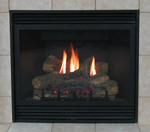 Empire Tahoe Deluxe Direct Vent Propane Fireplace - 32' - DVD-32-FP30P