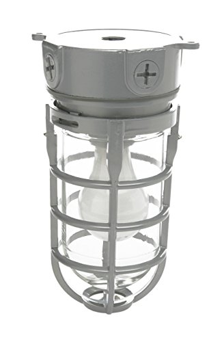 Woods L1706 Vandal Resistant Security Light With Ceiling Mount (150W Incandescent Bulb; Silver)