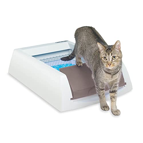 PetSafe ScoopFree Original Taupe Uncovered Self Cleaning Cat Litter Box System - No More Scooping - Includes Automatic Cat Litter Box, Disposable Litter Tray, 4.5 lb Premium Blue Crystal Cat Litter