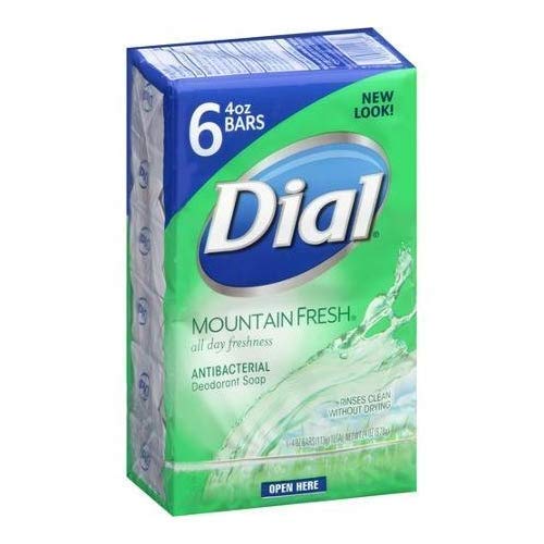 Dial Mountain Fresh Antibacterial Deodorant Soap, 4 oz, 6 Count