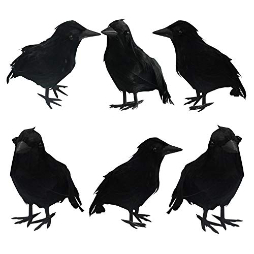 FUNPENY Halloween Black Feathered Crows, Lifelik Halloween Decoration Birds with Real Feather (6 Pack)