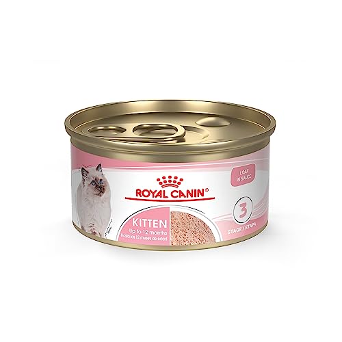 Royal Canin Feline Health Nutrition Kitten Loaf In Sauce Canned Cat Food, 3 oz Can