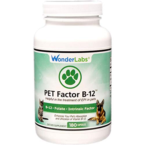 Wonder Laboratories Pet Factor B-12 | Vitamin B-12 in Methylcobalamin Form | Popular in Treatment of EPI in Dogs