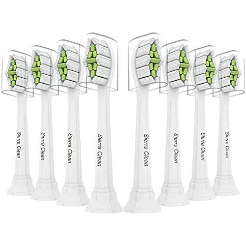 Sierra Clean Replacement Toothbrush Heads, 10 Pack