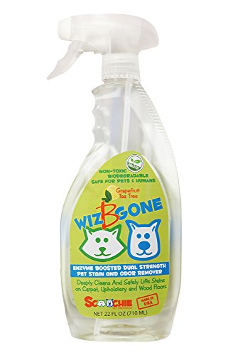 Pet stain and odor remover | 22 ounce | Wizbgone | Dogs and cats stains removal