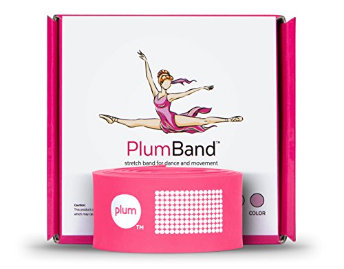 The PlumBand Stretch Band for Dance and Ballet – Colors and Sizes for Kids & Adults – Improve Your Splits, Strength, and Flexibility with Stretching (Rose Pink, Small)