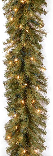 National Tree Company Pre-Lit Artificial Christmas Garland, Green, Norwood Fir, White Lights, Plug In, Christmas Collection, 9 Feet