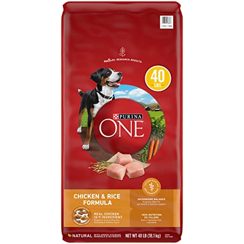 Purina ONE Natural Dry Dog Food, Chicken & Rice Formula - 40 lb. Bag