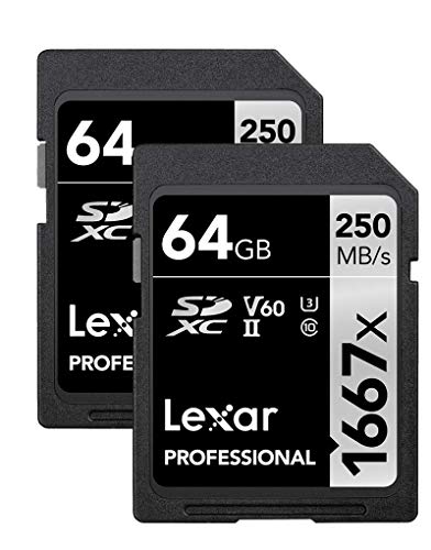 Lexar Professional 1667x 64GB (2-Pack) SDXC UHS-II Memory Cards, C10, U3, V60, Full-HD & 4K Video, Up To 250MB/s Read, for Professional Photographer, Videographer, Enthusiast (LSD64GCBNA16672)