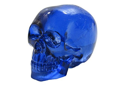 Clear Blue Skull Head Shift Knob/Decor