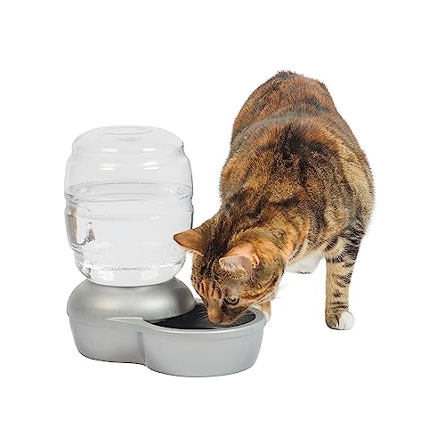 Petmate Replendish Automatic Gravity Waterer for Cats and Dogs, BPA-Free, No Batteries Required, Includes Charcoal Filter, 0.5 Gallon,Silver