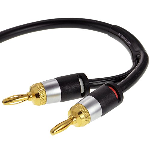 Mediabridge 12AWG Ultra Series Speaker Cable - Gold Plated Banana Tips (12 FT) - CL2 99.9% Oxygen Free - Black (SWT-12B-12B)