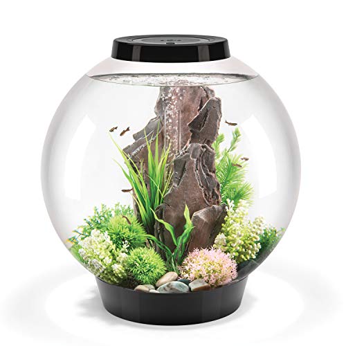 biOrb CLASSIC 60 Aquarium with LED - 16 gallon, Black
