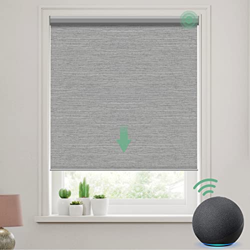 Yoolax Motorized Smart Blind for Window with Remote Control, Automatic Blackout Roller Shade Compatible with Alexa, Child Safety Rechargeable Battery Blind with Valance (Foggy Grey)