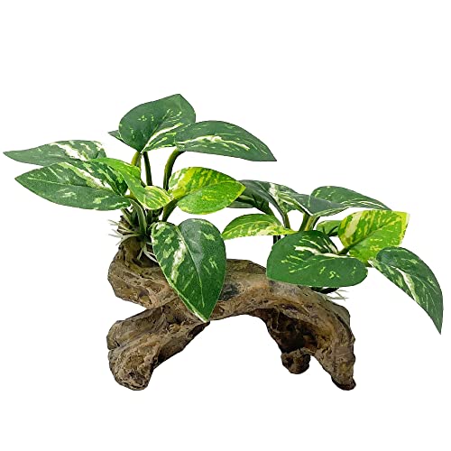 Smoothedo-Pets Fish Tank Decorations Aquarium Decor Ornaments Betta Silk Leaf pad Hammock Artifical Driftwood cave Goldfish Bowl Accessories (Type-C)