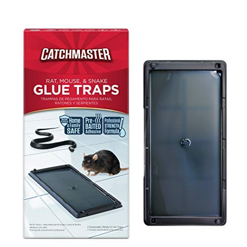 Baited Glue Traps by Catchmaster - 6 Pre-Baited Trays, Ready to Use Indoors. Rat Mouse Snake Exterminator Plastic Sticky Adhesive Easy No-Mess Simple Non-Toxic Disposable - Made in The USA