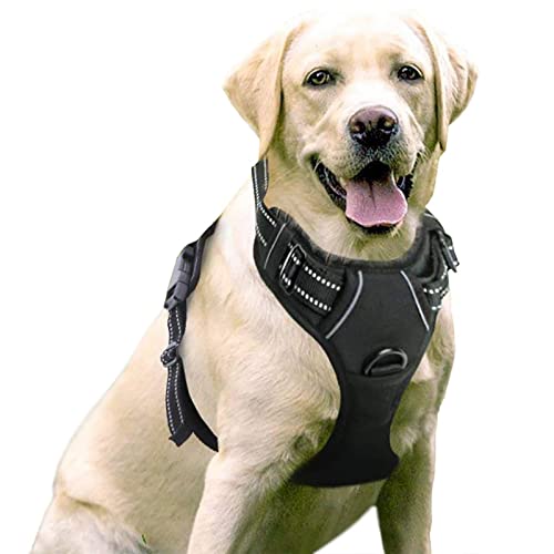 rabbitgoo Dog Harness, No-Pull Pet Harness with 2 Leash Clips, Adjustable Soft Padded Dog Vest, Reflective No-Choke Pet Oxford Vest with Easy Control Handle for Large Dogs, Black, L