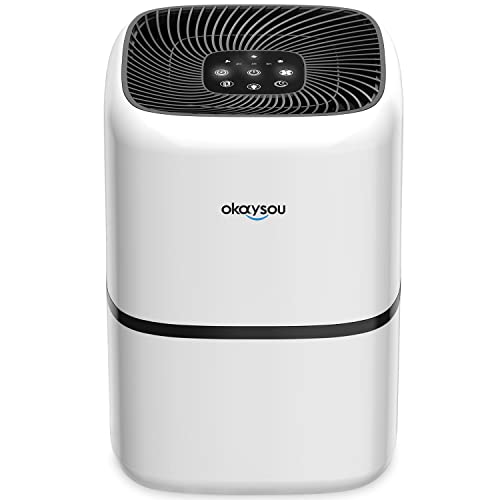 Okaysou Air Purifiers for Home Bedroom, 580 Sq Ft, H13 True HEPA Filter Washable Pre-Filter, 24dB Cleaner Odor Eliminators Remove 99.97% Pet Dander, Allergies, Hair, Smoke, Dust, Pollen, AirMic4S