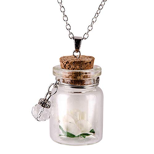 chaofanjiancai_Accessory Glow in The Dark Flower Glass Tiny Wishing Bottle Necklace Vial Pendant Long Chain Romantic Gift