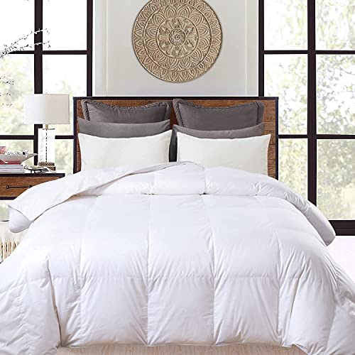 ELNIDO QUEEN Ivory White Feather Comforter with 100% Cotton Cover - Machine Washable All Season Duvet Insert/Stand Alone Bed Comforter - Ivory, Twin 90×68 Inch