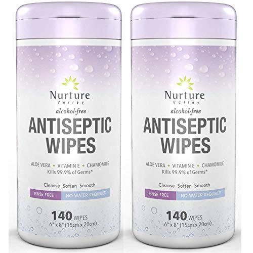 'Antibacterial Hand & Body Sanitizing Bathing Wipes (2 Canisters) | 280 Large Alcohol Free Disposable Antiseptic Adult Sponge Bath Cleansing Wash Cloth - No Shower or Rinse – Bedridden Elderly Disabled Post Surgery Camping Gym -2 Tubs of 140 Cleansing Wipes '