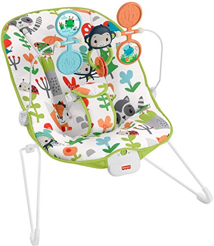 Fisher-Price Baby's Bouncer – Green, bouncing seat for soothing and play for newborns and infants [Amazon Exclusive]