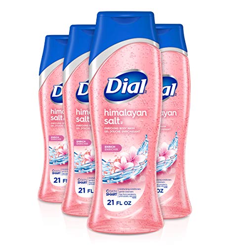 Dial Skin Therapy Body Wash, Himalayan Salt, 21 fl oz (Pack of 4)