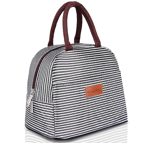 BALORAY Lunch/Tote Bag for Women Lunch Box Insulated Lunch Container