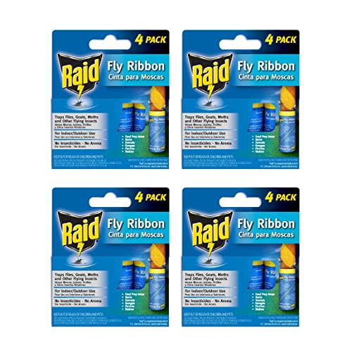 Raid Fly Ribbon, Fly Traps for Indoors and Outdoors, 4 Pack