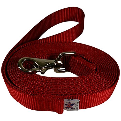 Beast-Master 1' Nylon Dog Leash with Weezel Snap Red 30 FT