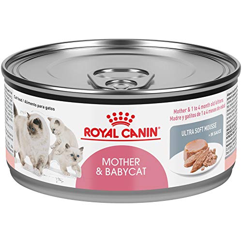Royal Canin Feline Health Nutrition Mother & Babycat Ultra Soft Mousse in Sauce Canned Cat Food, 5.8 oz can