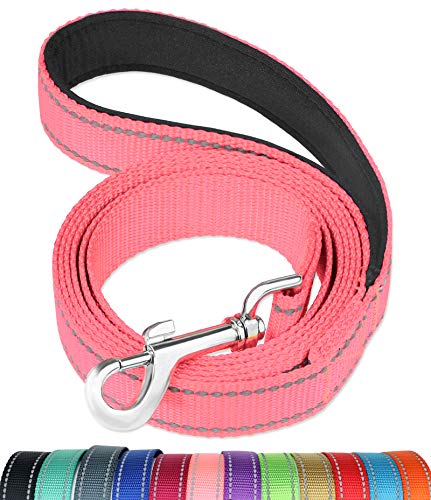 FunTags 6FT Reflective Dog Leash with Soft Padded Handle for Training,Walking Lead for Large & Medium Dog,1 Inch Wide,Neon Pink
