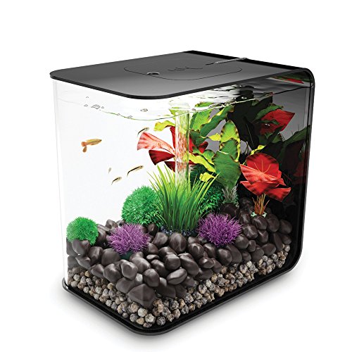 biOrb FLOW 30 Aquarium with LED Light - 8 gallon, black (45919)