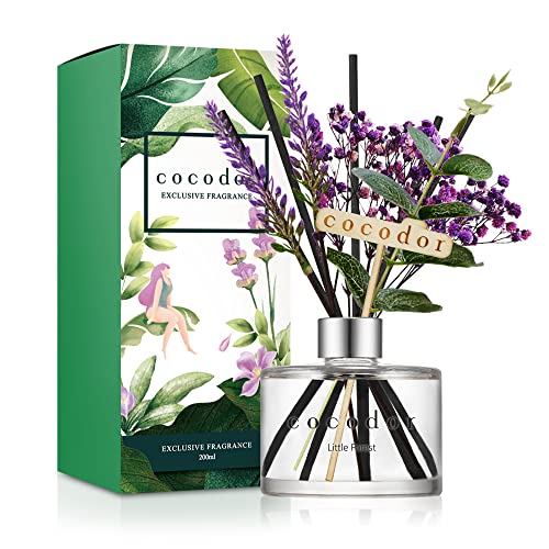 COCODOR Lavender Reed Diffuser/Little Forest / 6.7oz(200ml) / 1 Pack/Home Decor & Office Decor, Fragrance and Gifts