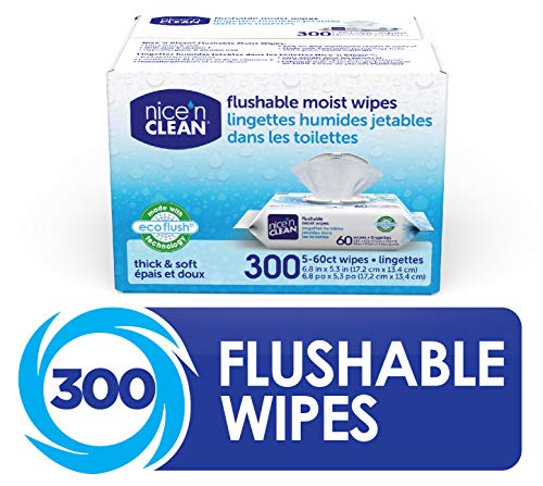 Nice 'N Clean Moist Flushable Wipes, Infused Aloe & Vitamin E, 60 Wipes (Pack of 5)