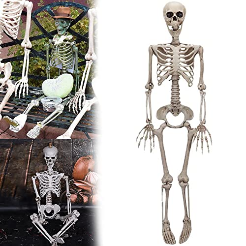 ZUPIIY 35 Inches Halloween Skeleton Life Size, 1 PC Full Body Posable Joints Skeletons Decor, Life Body Anatomy Model, Party Haunted House(90CM)
