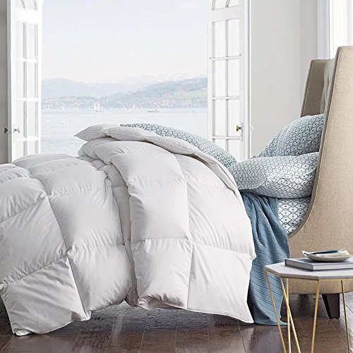 ROSE FEATHER Summer Spring Down Comforter Light Weight Duvet Insert Solid Fluffy Soft Warm Oversize TwinXL Full Queen King Cal King (King 106x90inch, White)