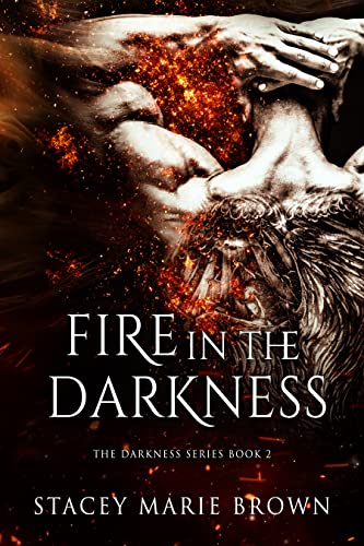 Fire In The Darkness (Darkness Series Book 2)