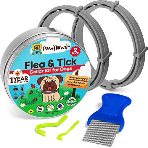 Pawflower Co. Flea and Tick Collar for Dogs - Natural Flea Collar for Dogs Small, Medium, Large Dogs - 2 Pack Dog Flea Collars with Comb and Removal Tools - Hypoallergenic - 1 Year Protection