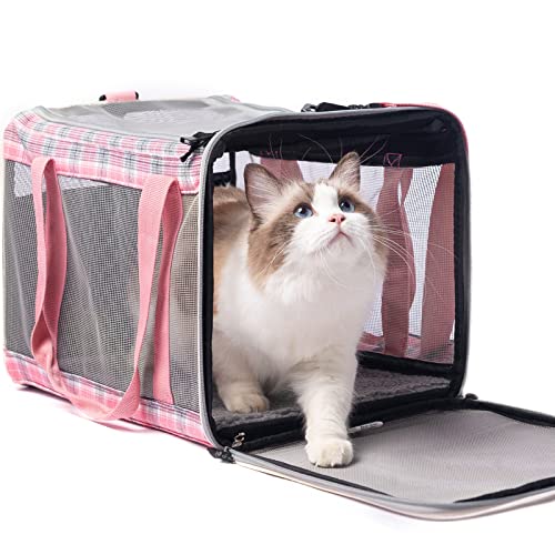 EXPAWLORER Cat Carrier Large, Soft-Sided Pet Carrier for Cat,Top Load Cat Travel Carriers for Medium Cats Under 25, Airline Approved Pet Bag Carriers Fit 2 Kitties Small Dogs