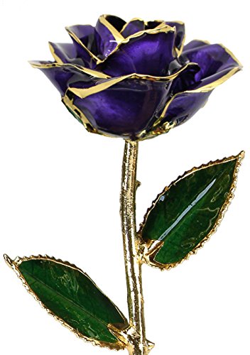 Allmygold Jewelers Deep Purple Lacquered 24k Gold Dipped Long Stem Genuine Rose