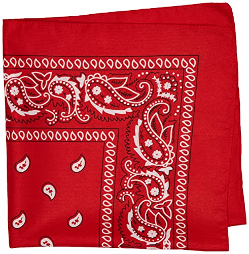 amscan all Paisley Bandana, Red, 20 x . 1 Pc US