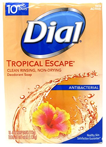 Dial Tropical Escape Antibacterial Deodorant Bar Soap, 4 oz, 10 count