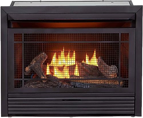 Duluth Forge Dual Fuel Vent Free Insert-26,000 BTU, Remote Control Fireplace Insert, Black