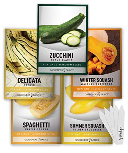 Squash Seeds for Planting 5 Individual Packets - Zucchini, Delicata, Butternut, Spaghetti and Golden Crookneck for Your Non GMO Heirloom Vegetable Garden by Gardeners Basics