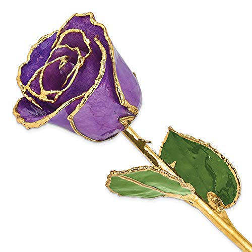 Allmygold 24K Gold Dipped Purple Genuine Rose