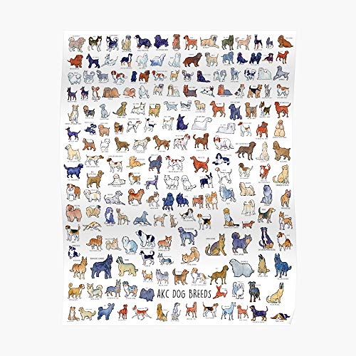 Every Akc Dog Breed Poster Small (16.4 x 20.9 in) | Posters Wall Art for College University Dorms, Blank Walls, Bedrooms | Gift Great Cool Trendy Artsy Fun Awesome Present