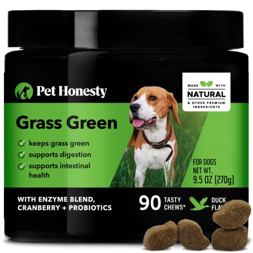 Pet Honesty Grass Green Grass Burn Spot Chews for Dogs - Dog Pee Lawn Spot Saver Treatment Caused by Dog Urine - Cranberry, Apple Cider Vinegar, DL-Methionine Grass Treatment Rocks - 90 Chews (Duck)